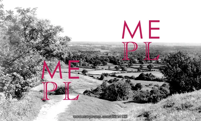  : Storrington, The Weald c1955