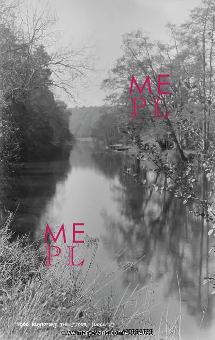 : The Stour at Blandford : The Stour at Blandford