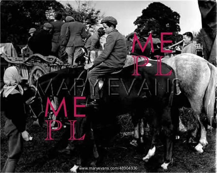 : STOW HORSE FAIR : STOW HORSE FAIR