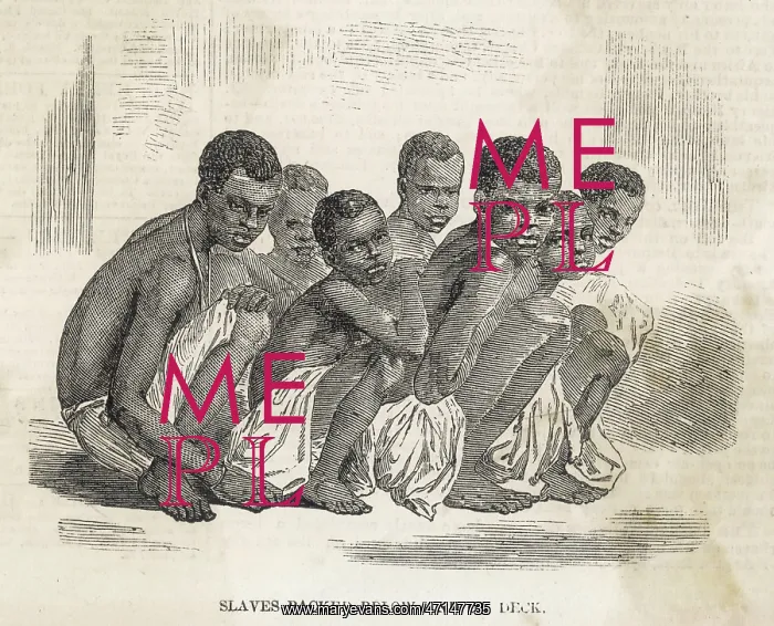 : Stowage of slaves on board ship : Stowage of slaves on board ship