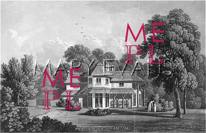 : STOWEY MEAD, SOMERSET : STOWEY MEAD, SOMERSET