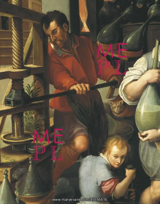 : STRADANO, Giovanni : STRADANO, Giovanni