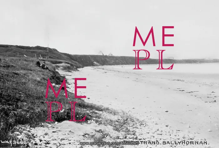 : The Strand, Ballyhornan : The Strand, Ballyhornan