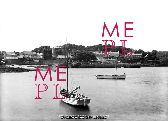 : Strangford, Co Down : Strangford, Co Down
