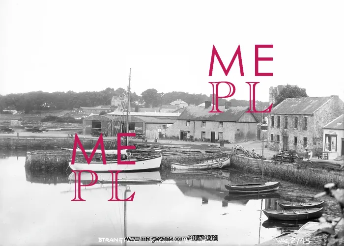 : Strangford, Co. Down : Strangford, Co. Down