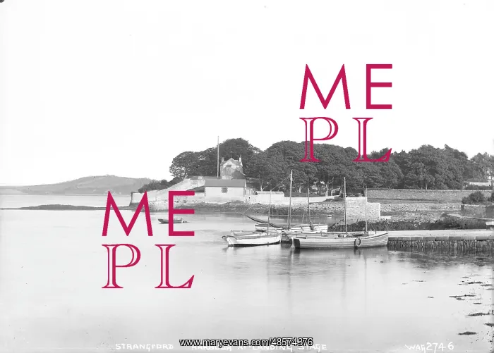 : Strangford Harbour at Landing Stage : Strangford Harbour at Landing Stage