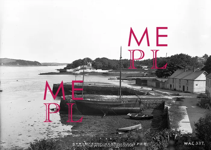 : Strangford Harbour and Pier : Strangford Harbour and Pier