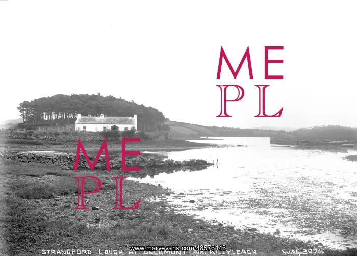: Strangford Lough at Delamont Nr. Killyleagh : Strangford Lough at Delamont Nr. Killyleagh