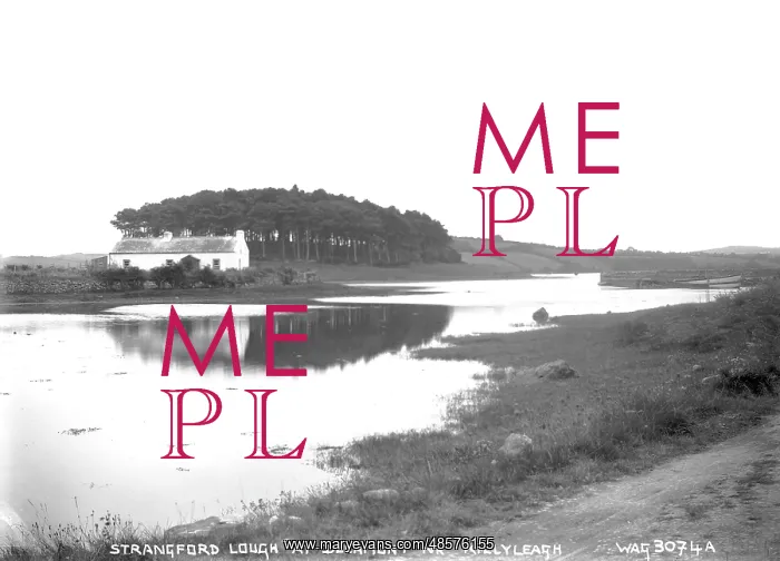 : Strangford Lough at Delamont Nr. Killyleagh : Strangford Lough at Delamont Nr. Killyleagh