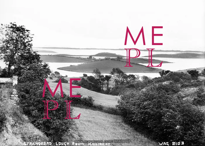 : Strangford Lough from Killinchy : Strangford Lough from Killinchy