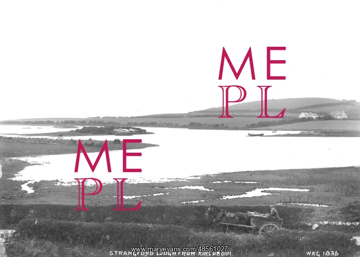 : Strangford Lough from Kircubbin : Strangford Lough from Kircubbin