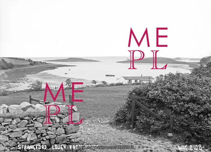 : Strangford Lough from Mahee : Strangford Lough from Mahee