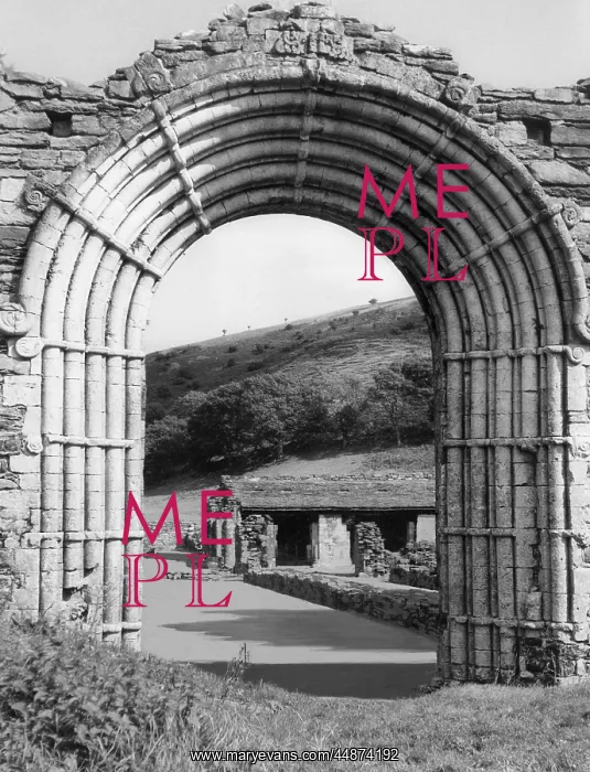  : STRATA FLORIDA ABBEY