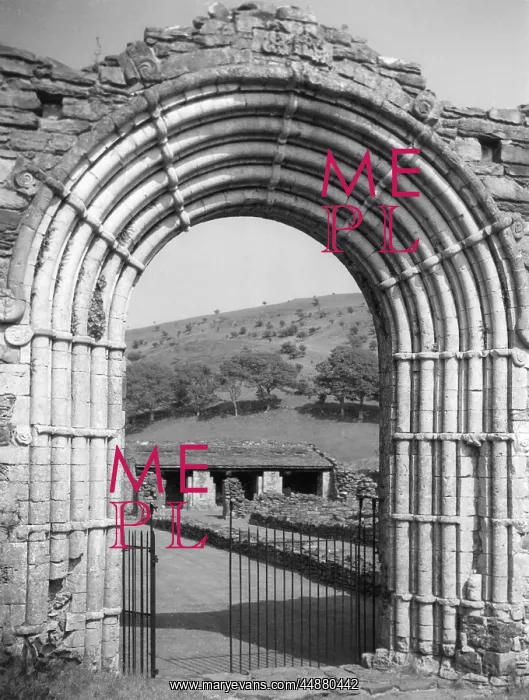  : STRATA FLORIDA ABBEY