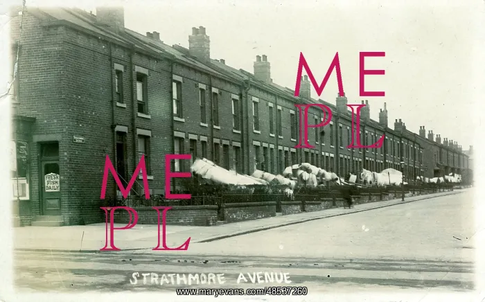 : Strathmore Avenue, Harehills, Yorkshire : Strathmore Avenue, Harehills, Yorkshire