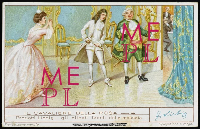 : Strauss - Rosenkavalier : Strauss - Rosenkavalier