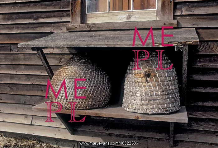 : Straw Bee Hives, 1733 : Straw Bee Hives, 1733