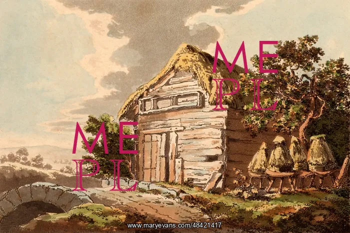 : Straw bee skeps by a rustic barn. Aquatint published : Straw bee skeps by a rustic barn. Aquatint published