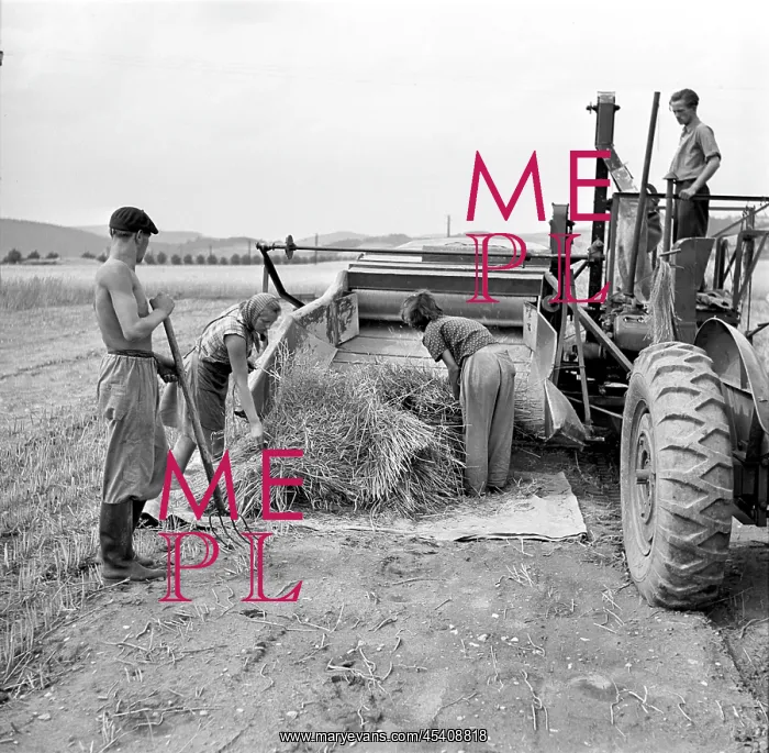  : Straw shredding