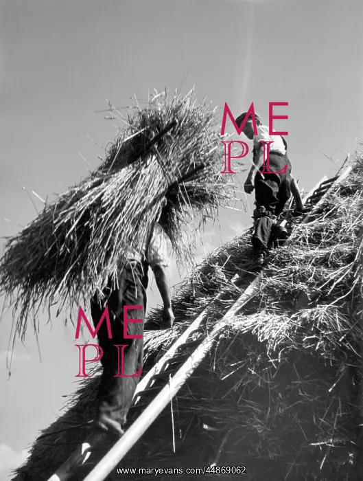 : STRAW STACK : STRAW STACK