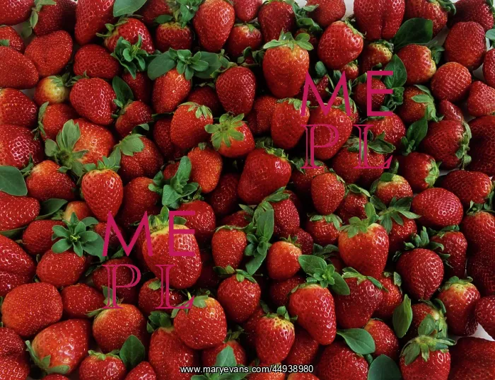: Strawberries : Strawberries