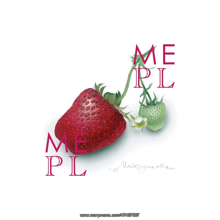 : Strawberries : Strawberries