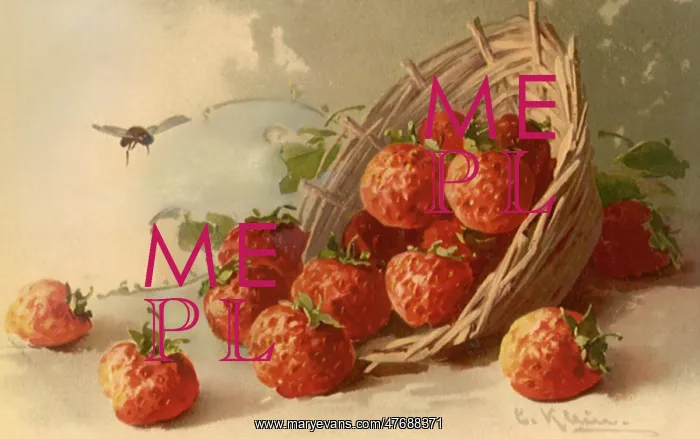 : Strawberries : Strawberries