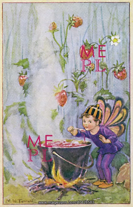 : Strawberry Jam : Strawberry Jam