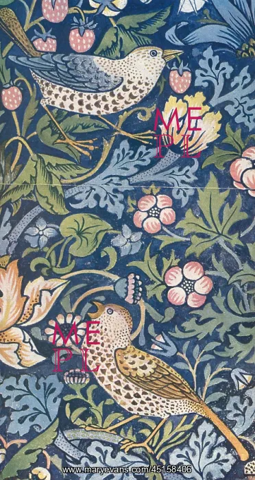 : The Strawberry Thief Chintz : The Strawberry Thief Chintz