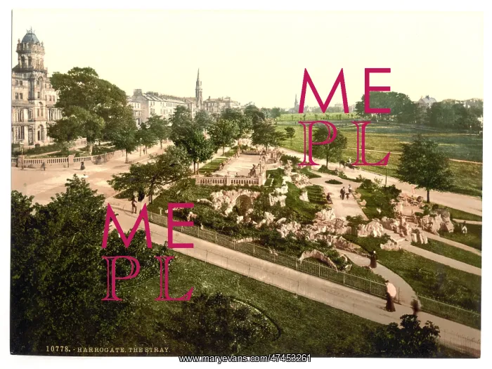 : The Stray, Harrogate, England : The Stray, Harrogate, England