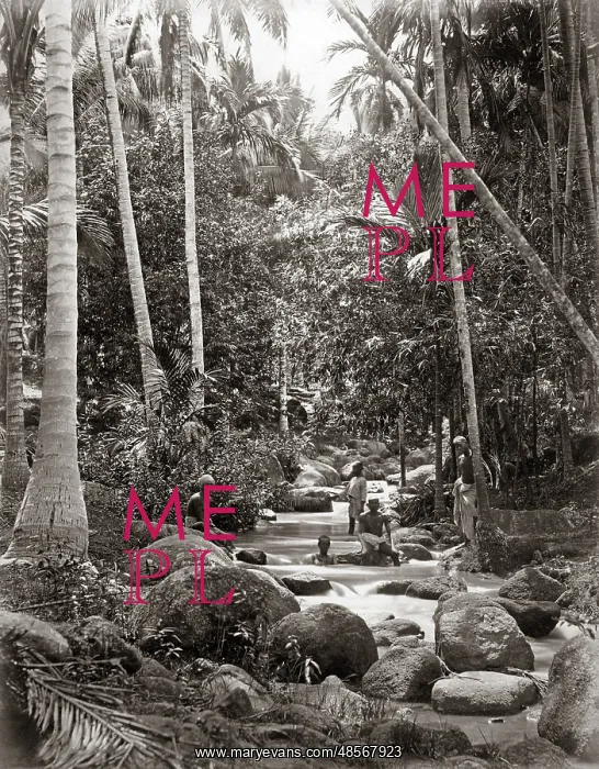 : Stream and bathers, probably Ceylon (Sri Lanka), circa 1880s : Stream and bathers, probably Ceylon (Sri Lanka), circa 1880s