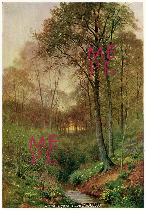 : STREAM AT BRILL : STREAM AT BRILL