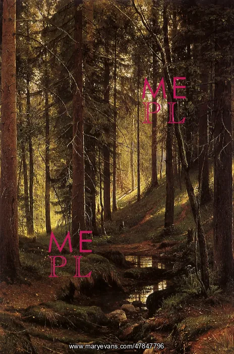  : Stream in a Forest (On a Slope)