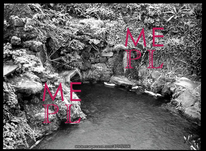 : Stream with ice and frost : Stream with ice and frost