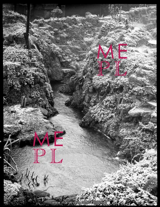 : Stream with ice and frost : Stream with ice and frost