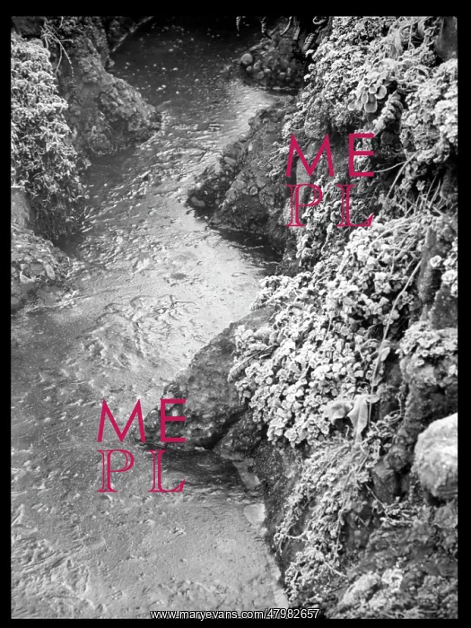 : Stream with ice and frost : Stream with ice and frost