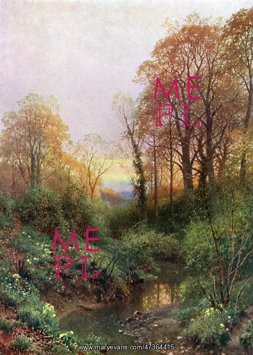  : STREAM AT LEITH HILL