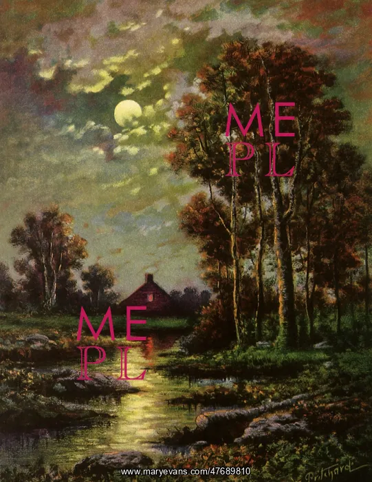  : Stream in Moonlight