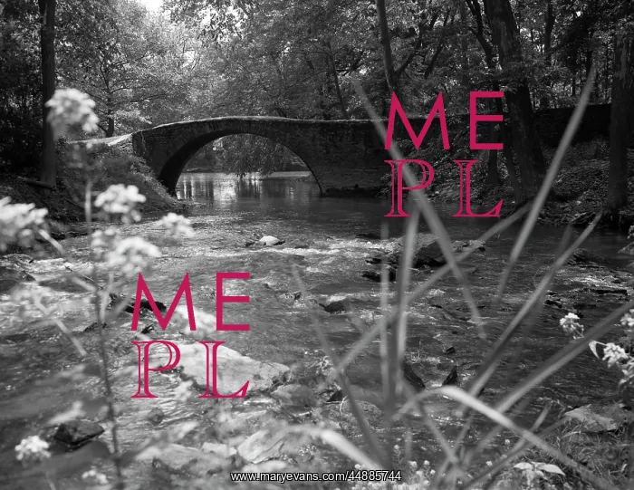 : Stream Running Under Stone Bridge : Stream Running Under Stone Bridge