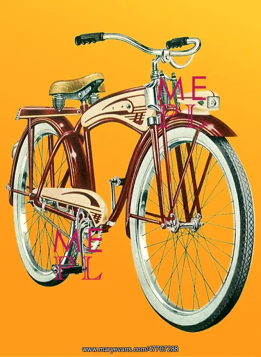 : Streamlined Bicycle : Streamlined Bicycle