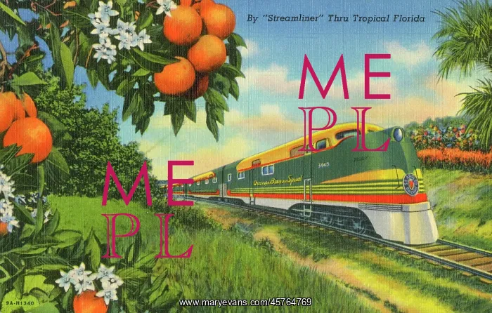 : Streamliner Train passing through Florida Orange groves : Streamliner Train passing through Florida Orange groves