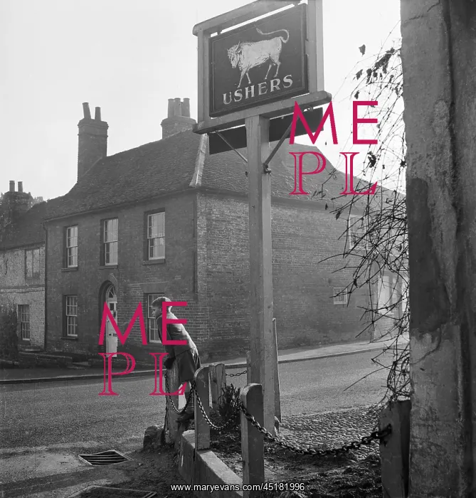 : Streatley. A boy leaning over a post and metal fence next to the Ushers : Streatley. A boy leaning over a post and metal fence next to the Ushers