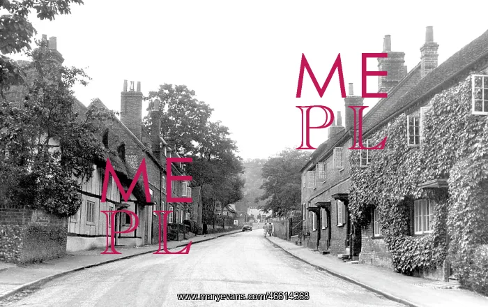  : Streatley, High Street c1955
