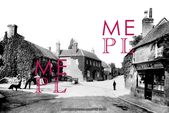  : Streatley, the Village 1904