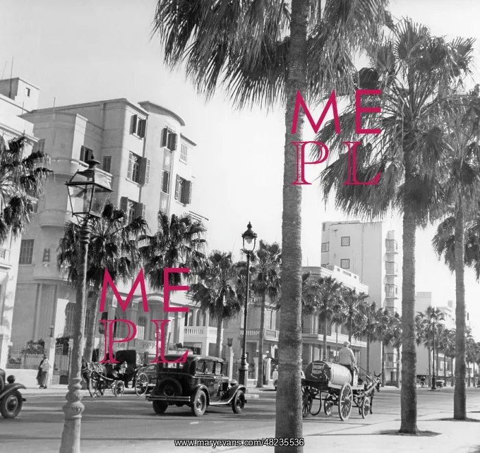 : Street in Alexandria, 1939 : Street in Alexandria, 1939