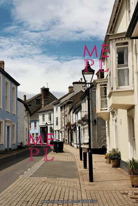 : Street in Buckfastleigh, Devon : Street in Buckfastleigh, Devon