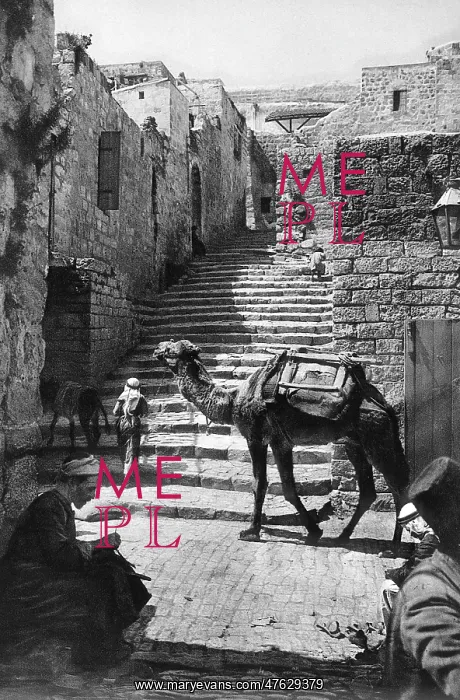 : Street with camel and steps, Jerusalem : Street with camel and steps, Jerusalem