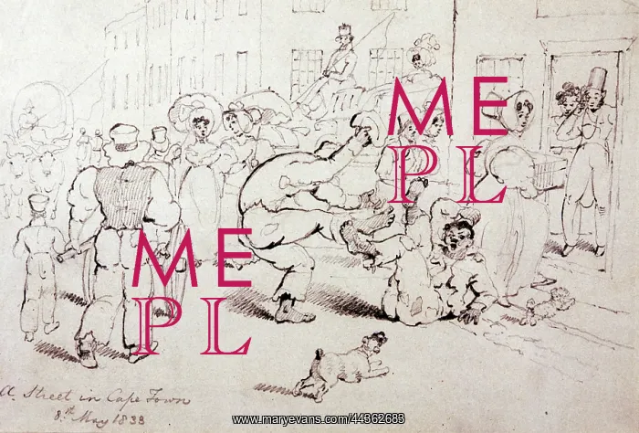 : A Street in Cape Town, 1833 : A Street in Cape Town, 1833