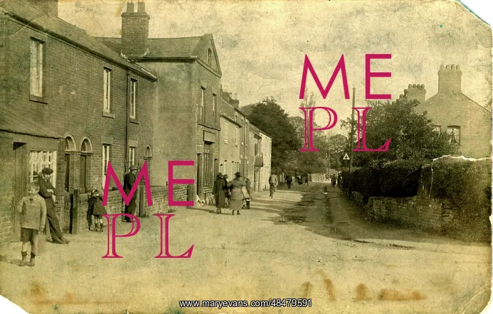: Street, Gresham, Norfolk : Street, Gresham, Norfolk