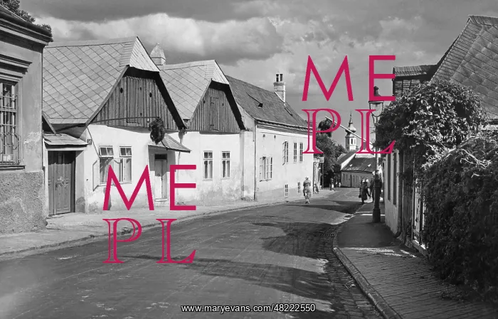 : Street in Grinzing in Vienna, 1938 : Street in Grinzing in Vienna, 1938